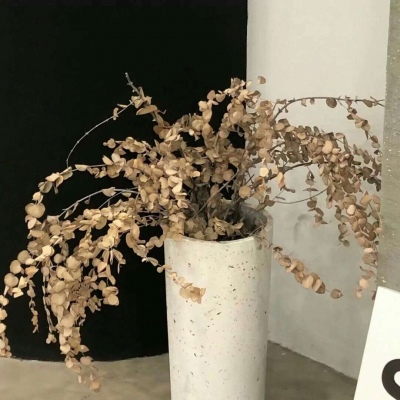 海南FurryQQ群介绍